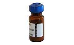 Agrisera - Rabbit Anti-Rat IgG (H&L), ALP Conjugated