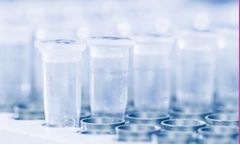 Primerdesign - Model Z-genesigEASY - Genesig Pipettes