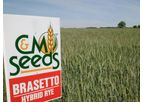 Brasetto - Hybrid Rye