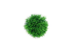 GreenBall