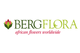 Bergflora 