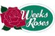Weeks Roses
