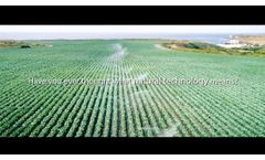 Have You Ever Thought What Natural Technology Means? - Seipasa - Video