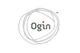 Ogin Inc.
