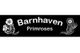 Barnhaven Primroses