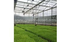 Multi Span Greenhouse
