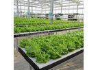 Hydroponic Greenhouse Systems