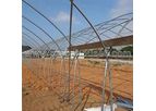 Model TUC832 - Polyethylene Film Greenhouse