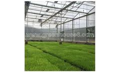 Large Scale PC Sheet Multi Span Polycarbonate Greenhouse
