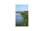 Watershed and Stormwater Management