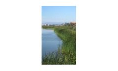 Watershed and Stormwater Management