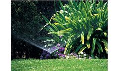 Rain-Rich - Core-Aeration Services