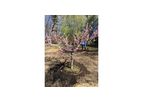 Rain-Rich - Drip Irrigation Systems