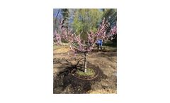Rain-Rich - Drip Irrigation Systems