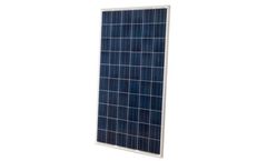 Vigest - Model MSPxxxAS -30 - Polycrystalline Solar Module