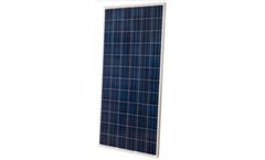Vigest - Model MSPxxxAS-36 - Polycrystalline Solar Module