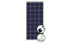 Vigest - Model VG-P150-165W - Polycrystalline Solar Module