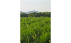 Protecting Natural Resources Services