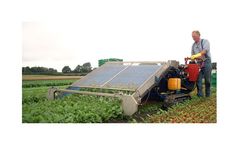 Morrish - Pedestrian Harvesters