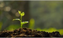 Remotox - Aqueous Calcium Polysulfide for Soil Remediation