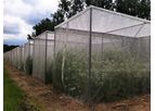 Rovero - Insect Proof Tents for Outdoors