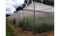 Rovero - Insect Proof Tents for Outdoors