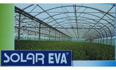 Solar EVA - Model 4 - Greenhouse Film