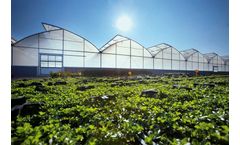 Rovero - Europe Foil Greenhouse