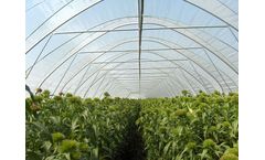 Rovero - Greenhouse Film Hoods