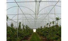 Rovero - Rain Canopy With Fixed Deck