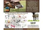 Veterinary Ear Tags