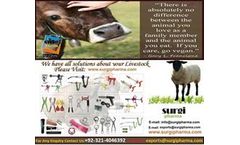 Veterinary Ear Tags