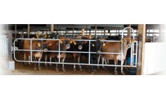 Artex - Adjustable Gates