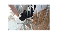 Artex - Standard Calf Pen