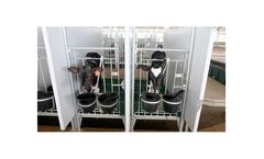 Artex - Raised Calf Pens