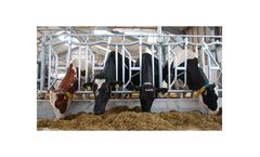 Artex - Model CSL - Self Locks System