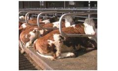 Arntjen - Floor / Gangway Coverings