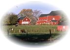 Ultra Farm - Farm Accounting Software