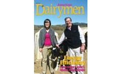American Dairymen