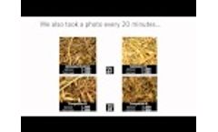The Great Silage Challenge: SiloSolve® FC vs. mold, yeast and the competition Video