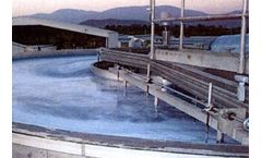 Water Treatment for Algae Biofuels and Animal Feed