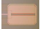 Sentron - Model ISFET - Medical pH Sensors