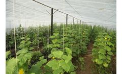 KT - Weed Screen