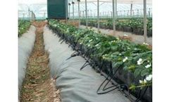 Solufeed - Model Coir TEC - Sodium Free - Chelated Trace Element Blend