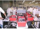 Tilapia Processing Plant