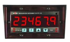 AIC - Model LD-IV - Standard Analog Input Signals Large Digit Display