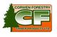 CF Timber Products Ltd