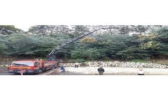 Tree Surgery Services