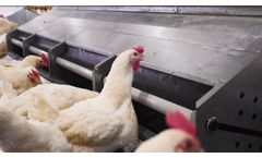 Shenandoah group nest for broiler breeders - Video