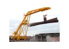 Fulghum - 100` Radial Log Cranes